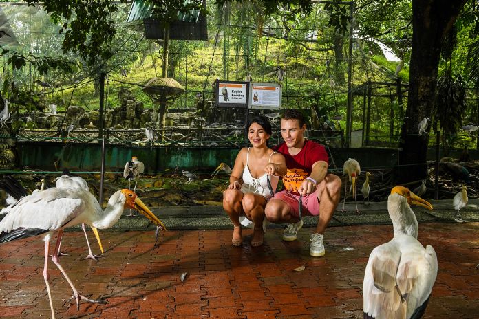 KL Bird Park Ticket with 1-way transfer (Shared tour)