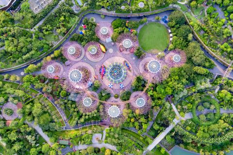 Gardens by the Bay Guided Tour - Supertrees, Flower Dome and Cloud Forest
