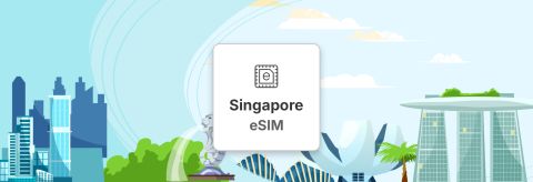 Commbitz Singapore e-SIM Daily