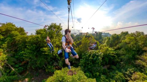 Mega Adventure - Singapore MegaZip (Daytime Flight) + Sentosa Express (Island Admission) (Standard)