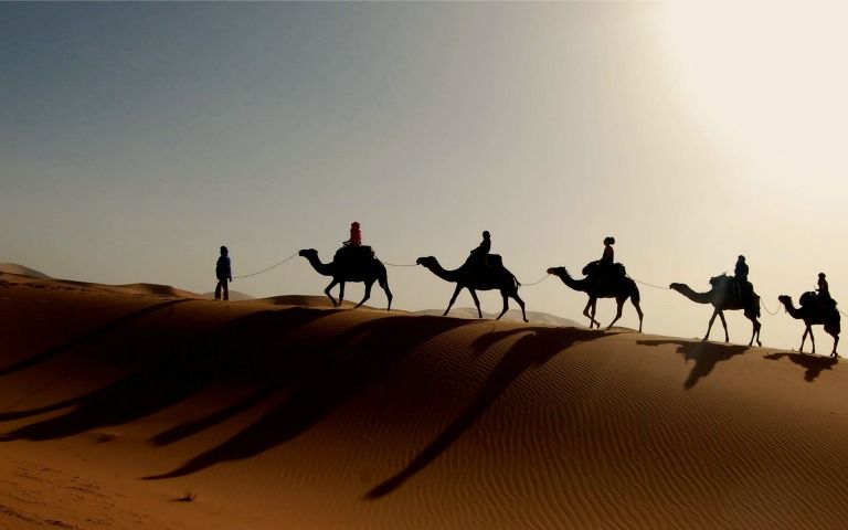 Overnight Desert Safari